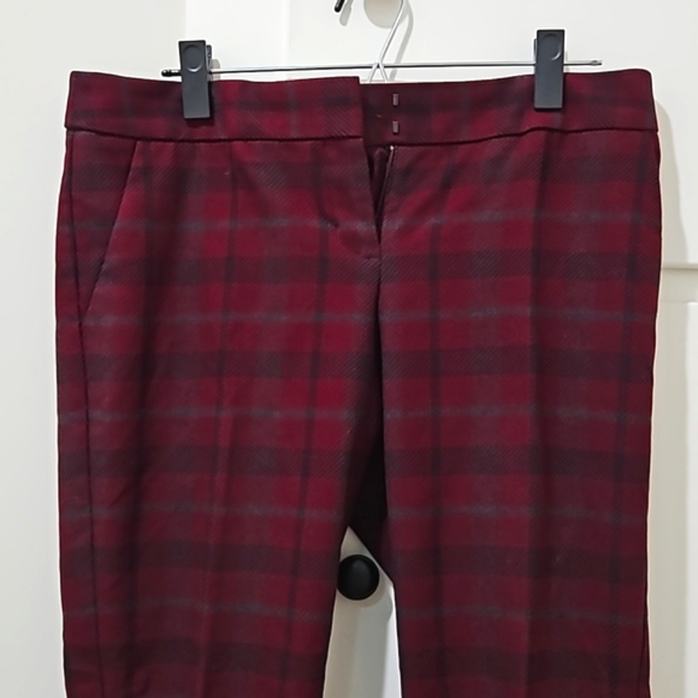 Express Columnist Pant